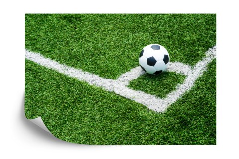 Fototapeta Piłka W Narożniku Flizelina 208x146 FT-3368-VEXL