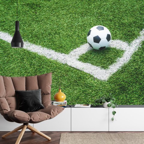 Fototapeta Piłka W Narożniku Flizelina 208x146 FT-3368-VEXL