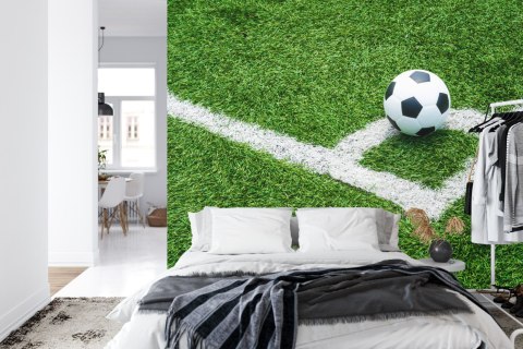 Fototapeta Piłka W Narożniku Flizelina 208x146 FT-3368-VEXL