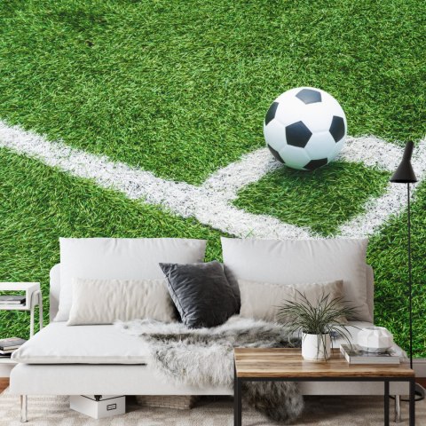 Fototapeta Piłka W Narożniku Vinyl Gładki 152.5x104 FT-3368-VGL