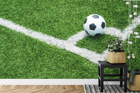 Fototapeta Piłka W Narożniku Vinyl Gładki 152.5x104 FT-3368-VGL