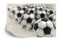 Fototapeta Piłki Nożne Rysowane Ołówkiem Flizelina 208x146 FT-3375-VEXL