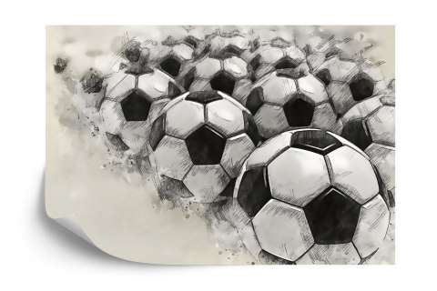 Fototapeta Piłki Nożne Rysowane Ołówkiem Vinyl Gładki 152.5x104 FT-3375-VGL