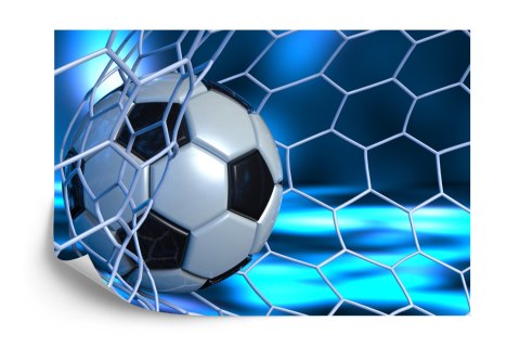 Fototapeta Sportowa 3D Piłka Flizelina 208x146 FT-1931-VEXL