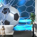 Fototapeta Sportowa 3D Piłka Flizelina 208x146 FT-1931-VEXL