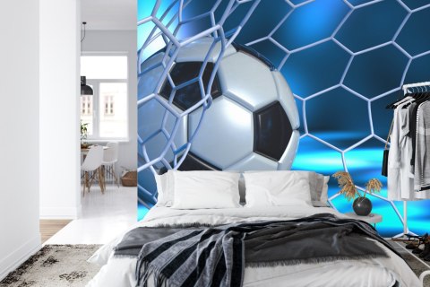 Fototapeta Sportowa 3D Piłka Flizelina 208x146 FT-1931-VEXL