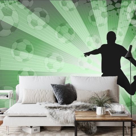 Fototapeta Sylwetka Piłkarza Flizelina 208x146 FT-3351-VEXL