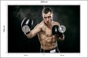 Fototapeta Bokser Muay Thai Flizelina 208x146 FT-3424-VEXL