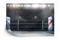 Fototapeta Bokserski Ring Flizelina 208x146 FT-3427-VEXL