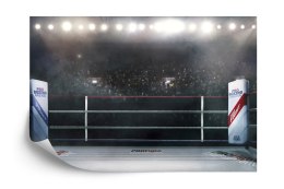 Fototapeta Bokserski Ring Vinyl Gładki 152.5x104 FT-3427-VGL