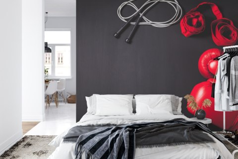 Fototapeta Bokserski Sprzęt Flizelina 208x146 FT-3431-VEXL