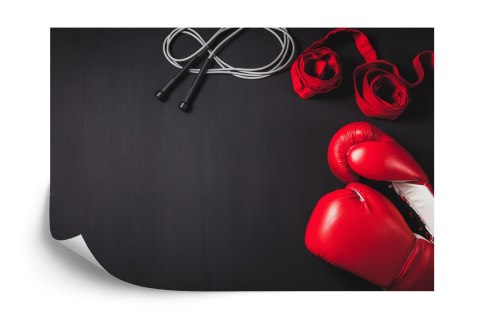 Fototapeta Bokserski Sprzęt Vinyl Gładki 152.5x104 FT-3431-VGL