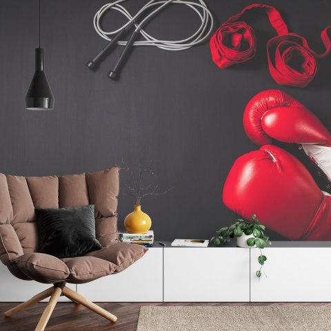 Fototapeta Bokserski Sprzęt Vinyl Gładki 152.5x104 FT-3431-VGL