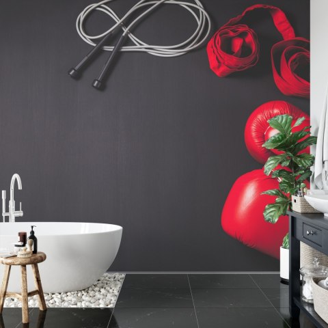 Fototapeta Bokserski Sprzęt Vinyl Gładki 152.5x104 FT-3431-VGL