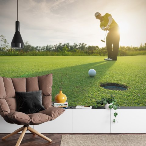 Fototapeta Golfista W Flizelina 208x146 FT-3799-VEXL