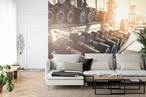 Fototapeta Hantle Na Siłowni 3D Flizelina 208x146 FT-3956-VEXL