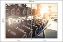 Fototapeta Hantle Na Siłowni 3D Flizelina 208x146 FT-3956-VEXL
