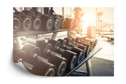 Fototapeta Hantle Na Siłowni 3D Vinyl Gładki 152.5x104 FT-3956-VGL