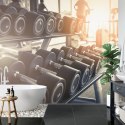 Fototapeta Hantle Na Siłowni 3D Vinyl Gładki 152.5x104 FT-3956-VGL