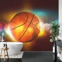 Fototapeta Piłka Koszykowa Flizelina 208x146 FT-3132-VEXL