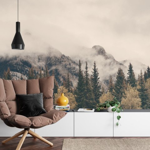 Fototapeta Las We Mgle Flizelina 208x146 FT-12-VEXL