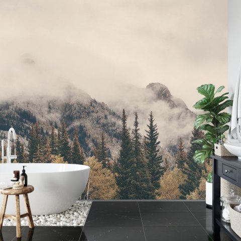 Fototapeta Las We Mgle Flizelina 208x146 FT-12-VEXL