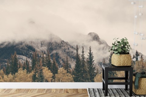 Fototapeta Las We Mgle Flizelina 208x146 FT-12-VEXL