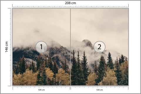 Fototapeta Las We Mgle Flizelina 208x146 FT-12-VEXL