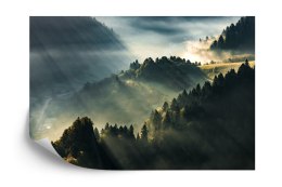 Fototapeta Las We Mgle Flizelina 208x146 FT-13-VEXL