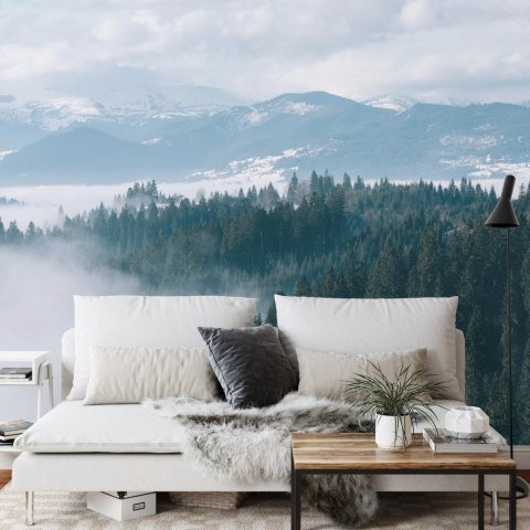 Fototapeta Las We Mgle Flizelina 208x146 FT-20-VEXL