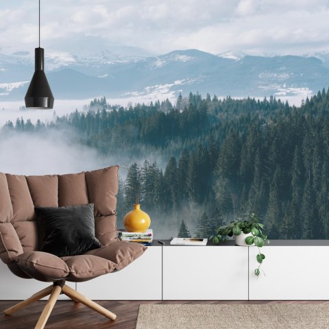 Fototapeta Las We Mgle Flizelina 208x146 FT-20-VEXL