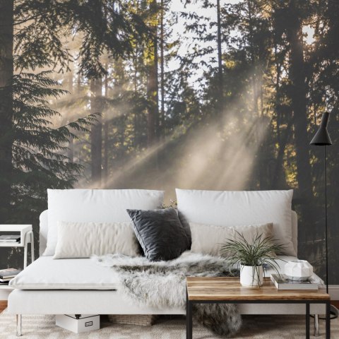 Fototapeta Las We Mgle Flizelina 208x146 FT-22-VEXL