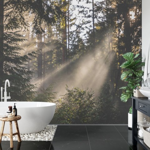 Fototapeta Las We Mgle Flizelina 208x146 FT-22-VEXL