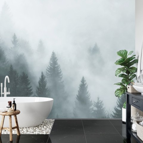 Fototapeta Las We Mgle Flizelina 208x146 FT-24-VEXL