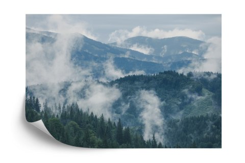 Fototapeta Las We Mgle Flizelina 208x146 FT-3-VEXL