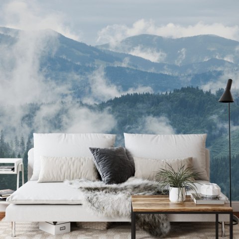 Fototapeta Las We Mgle Flizelina 208x146 FT-3-VEXL