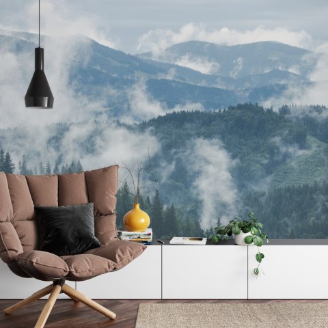 Fototapeta Las We Mgle Flizelina 208x146 FT-3-VEXL