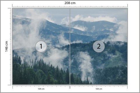 Fototapeta Las We Mgle Flizelina 208x146 FT-3-VEXL