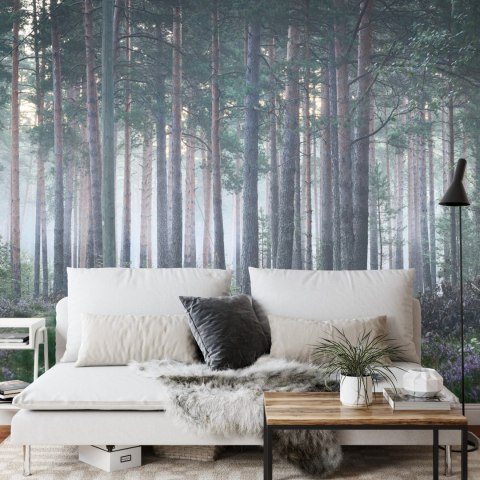 Fototapeta Las We Mgle Flizelina 208x146 FT-472-VEXL