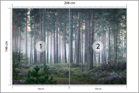 Fototapeta Las We Mgle Flizelina 208x146 FT-472-VEXL