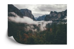 Fototapeta Las We Mgle Vinyl Gładki 152.5x104 FT-11-VGL