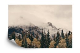 Fototapeta Las We Mgle Vinyl Gładki 152.5x104 FT-12-VGL