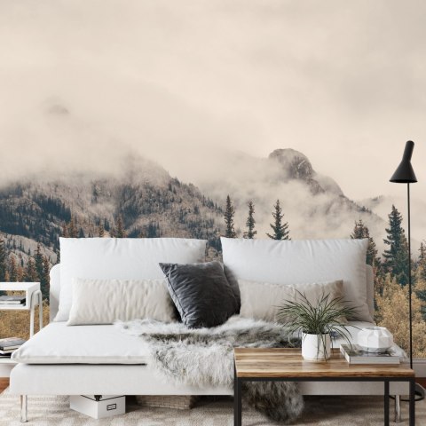 Fototapeta Las We Mgle Vinyl Gładki 152.5x104 FT-12-VGL