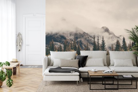 Fototapeta Las We Mgle Vinyl Gładki 152.5x104 FT-12-VGL