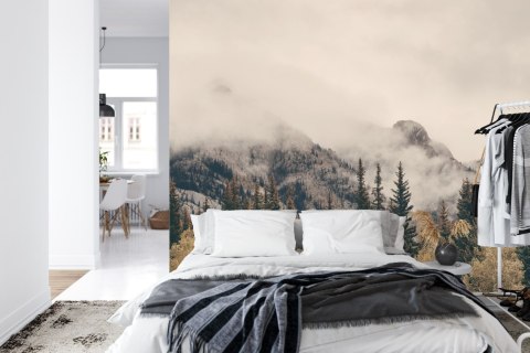 Fototapeta Las We Mgle Vinyl Gładki 152.5x104 FT-12-VGL