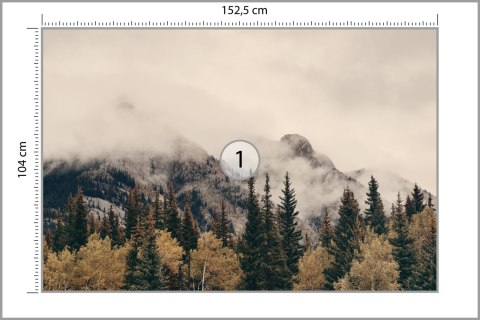 Fototapeta Las We Mgle Vinyl Gładki 152.5x104 FT-12-VGL