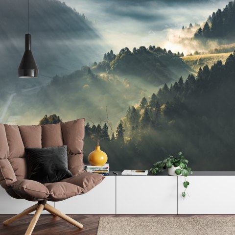 Fototapeta Las We Mgle Vinyl Gładki 152.5x104 FT-13-VGL