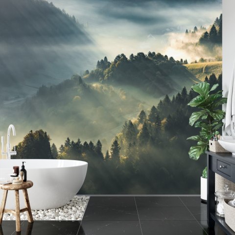 Fototapeta Las We Mgle Vinyl Gładki 152.5x104 FT-13-VGL