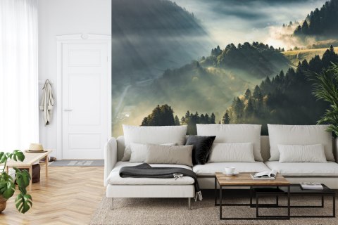 Fototapeta Las We Mgle Vinyl Gładki 152.5x104 FT-13-VGL