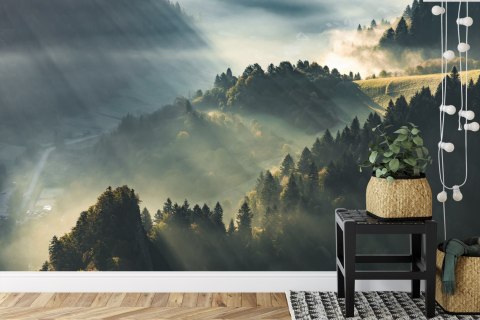 Fototapeta Las We Mgle Vinyl Gładki 152.5x104 FT-13-VGL